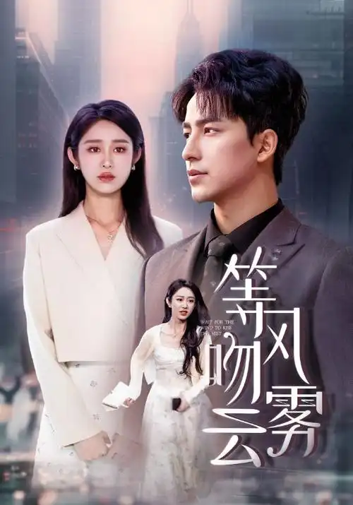 追风者 电视剧海报